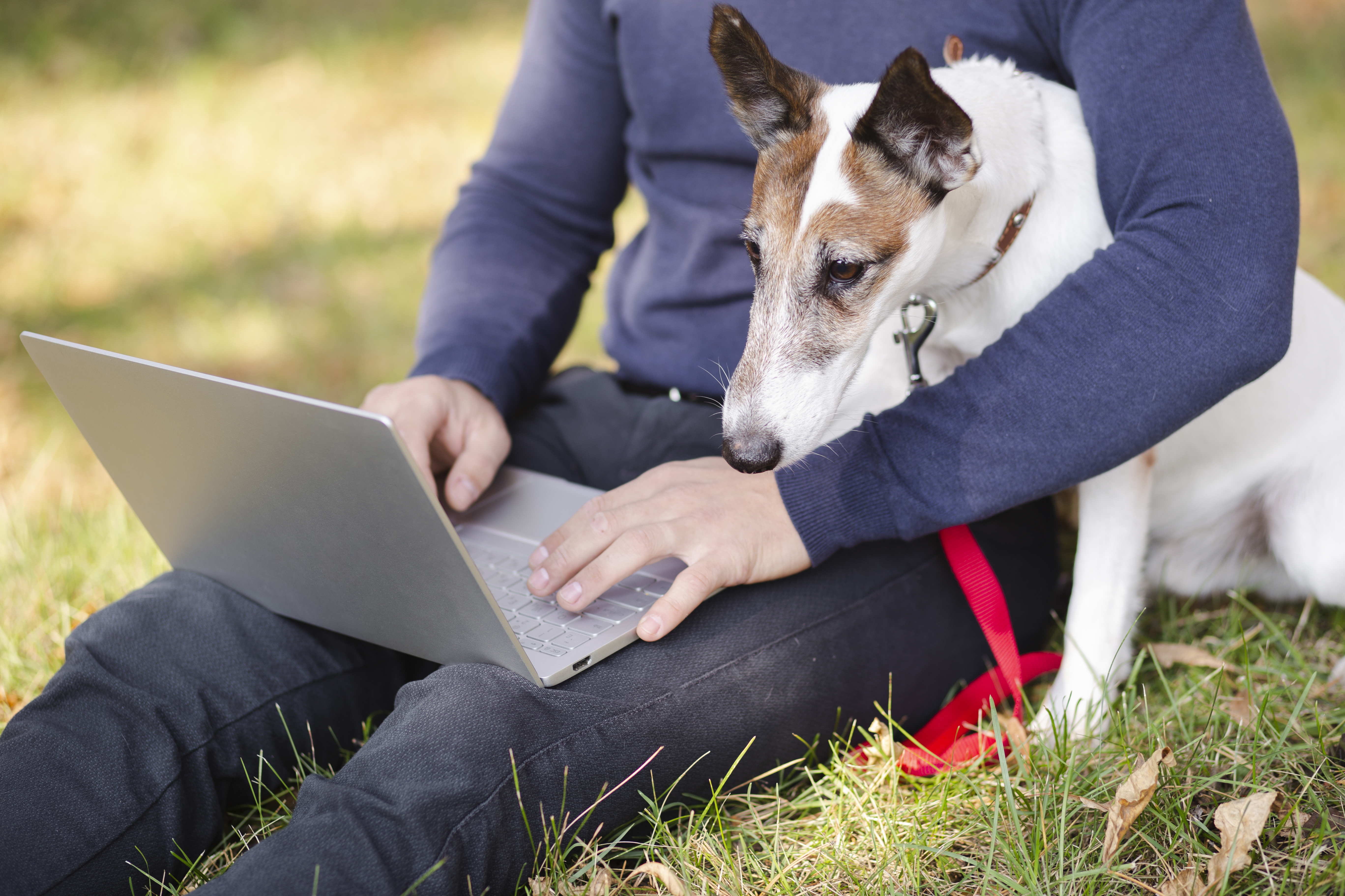 Erfolgreicher Reico Partner arbeitet flexibel mit Laptop und Hund im Park